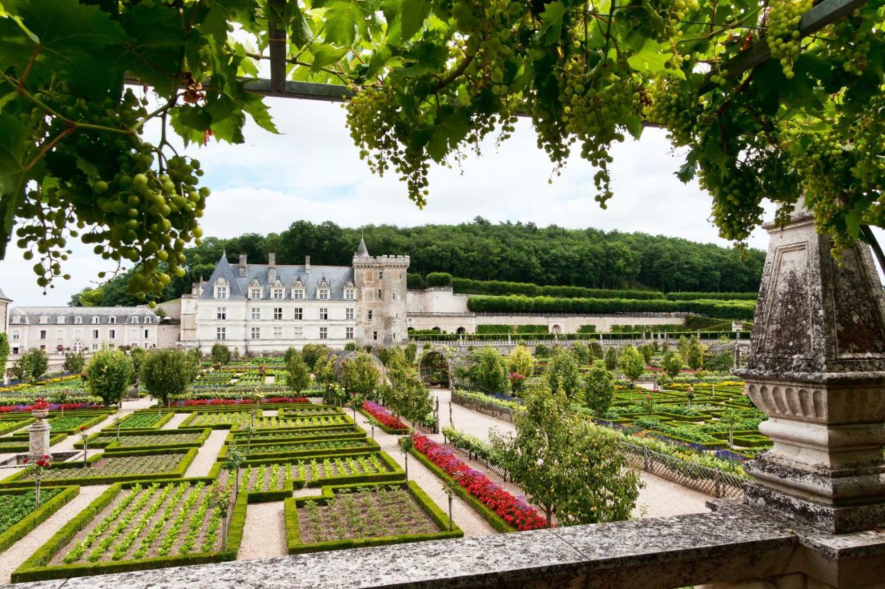 Villa Gite Nature Loire et Châteaux 3* à Villandry Extérieur photo